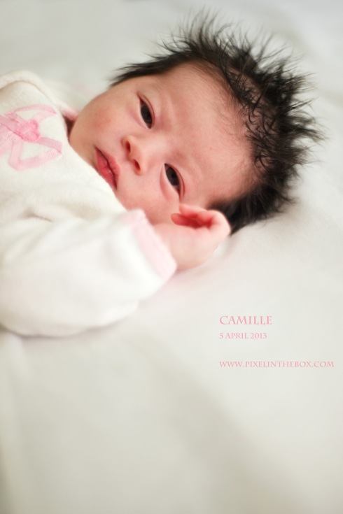 Camille 5 April 2013b